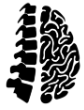 Neurocirujano en Alicante – Dr. J. Sales-Llopis